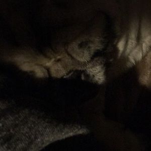 Meet your Posher, Marie